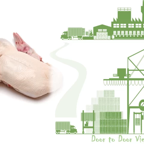 quy trình nhập khẩu thịt vịt