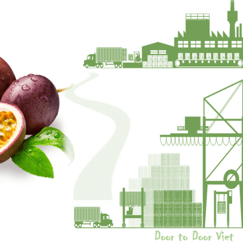 quy trình xuất khẩu chanh dây