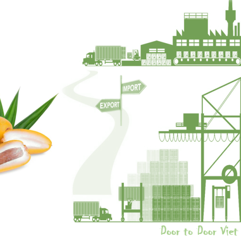 quy trình nhập khẩu quả chà la