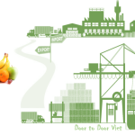 thủ tục nhập khẩu trái cây vào Việt Nam