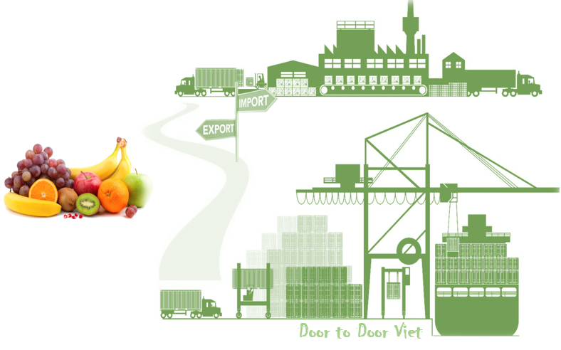 Thủ tục nhập khẩu trái cây vào Việt Nam