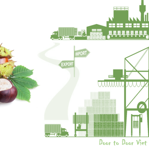 quy trình nhập khẩu hạt dẻ