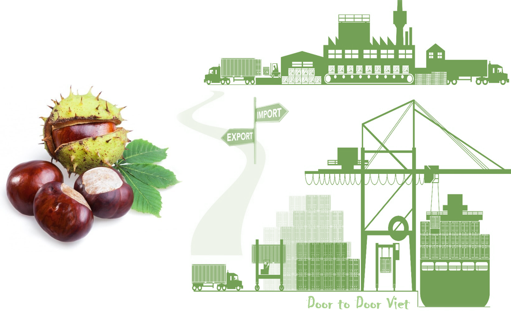 Thủ tục nhập khẩu hạt dẻ