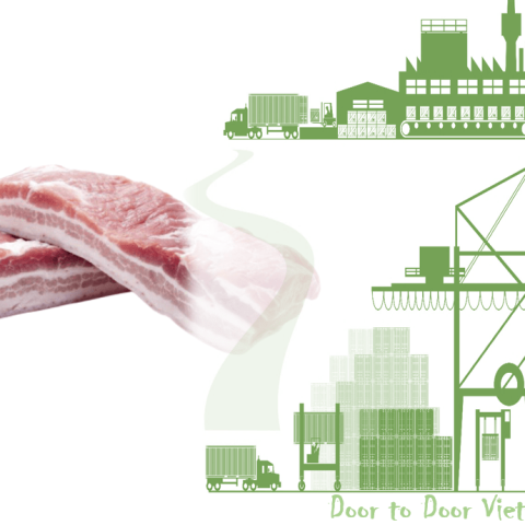 quy trình nhập khẩu thịt lợn
