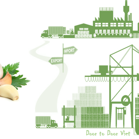 quy trình nhập khẩu tỏi