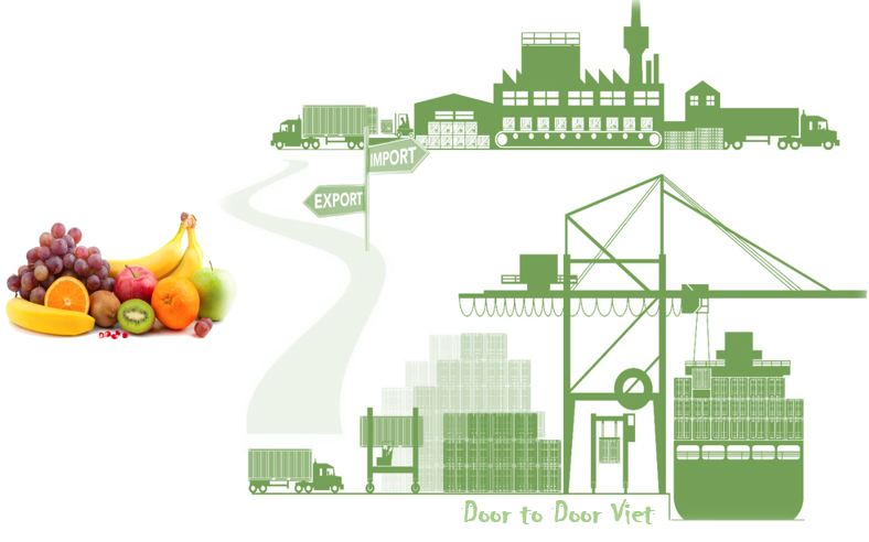 Thủ tục nhập khẩu trái cây tươi