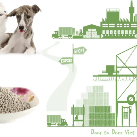 quy trình nhập khẩu cát vệ sinh cho chó mèo