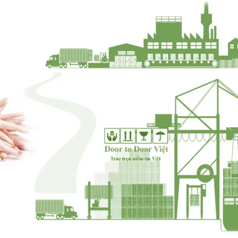 quy trình nhập khẩu chân gà