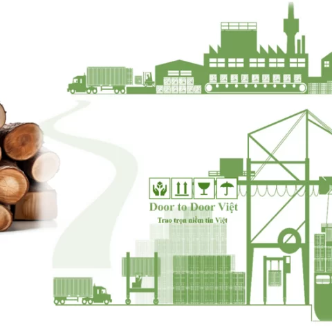 quy trình nhập khẩu gỗ tự nhiên