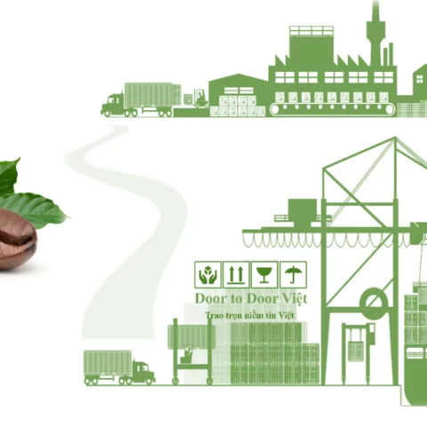 quy trình xuất khẩu cà phê