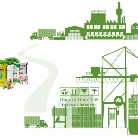 quy trình nhập khẩu thức ăn gia súc