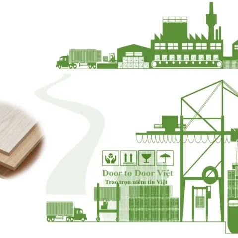 quy trình nhập khẩu ván mdf